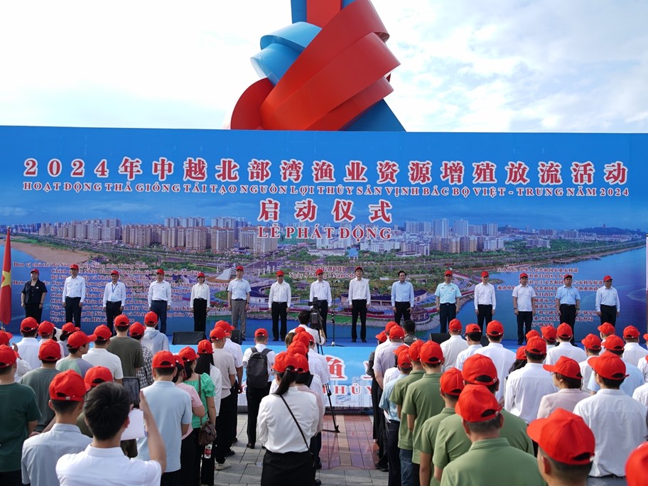 中越聯合舉行2024年北部灣漁業資源增殖放流活動
